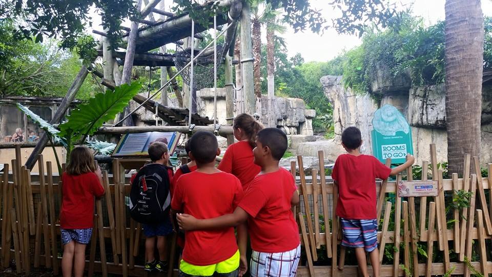 Fieldtrip to Lowry Park Zoo